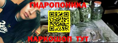 шишки Комсомольск-на-Амуре