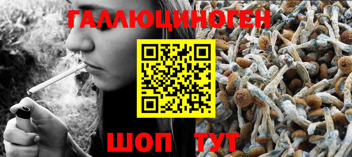 Галлюциногенные грибы GOLDEN TEACHER  Псилоцибиновые грибы прущие грибы  Вход с VPN  Краснокаменск 